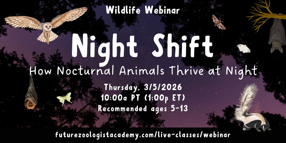 GRAPHIC - Night Shift Wildlife Webinar - FZA - 02.05.2026
